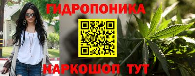 шишки Мариинск