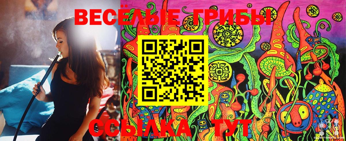 закладки  Вход с VPN  Аксай  Псилоцибиновые грибы Psilocybine cubensis 
